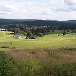 Feldmann *