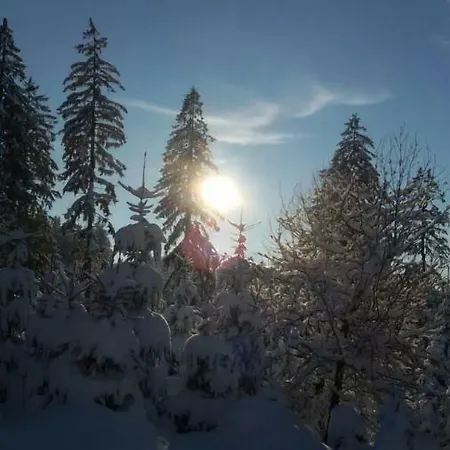 Feldmann * Schmiedefeld am Rennsteig