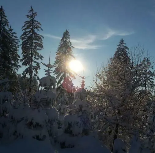 Feldmann * Schmiedefeld am Rennsteig